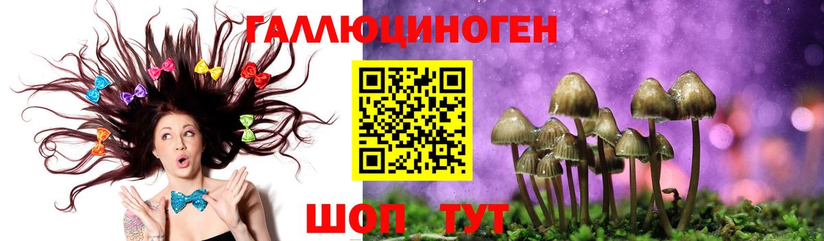 Псилоцибиновые грибы прущие грибы Коммунар